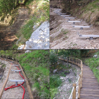 cover Orto botanico Pietro Pellegrini